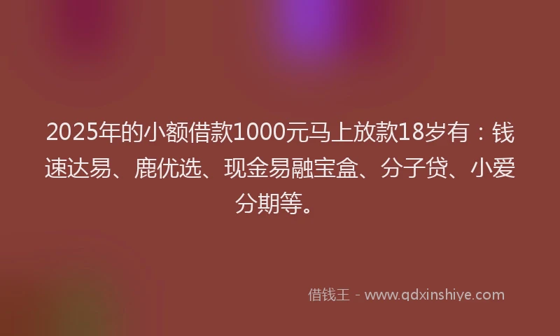 2025年的小额借款1000元马上放款18岁有：钱速达易、鹿优选、现金易融宝盒、分子贷、小爱分期等。