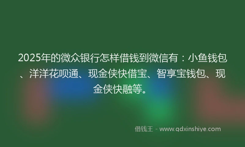 2025年的微众银行怎样借钱到微信有：小鱼钱包、洋洋花呗通、现金侠快借宝、智享宝钱包、现金侠快融等。