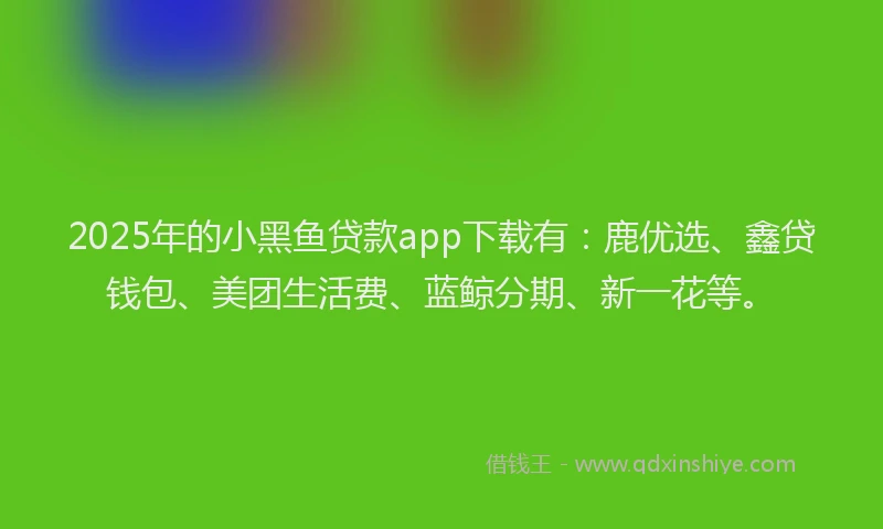 2025年的小黑鱼贷款app下载有：鹿优选、鑫贷钱包、美团生活费、蓝鲸分期、新一花等。