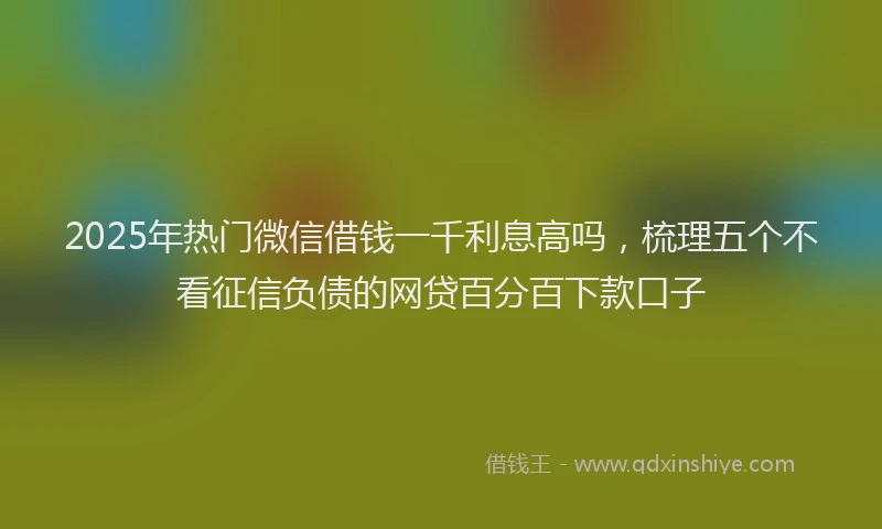 2025年热门微信借钱一千利息高吗，梳理五个不看征信负债的网贷百分百下款口子