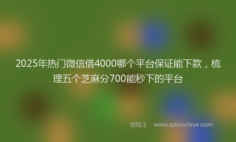 2025年热门微信借4000哪个平台保证能下款，梳理五个芝麻分700能秒下的平台
