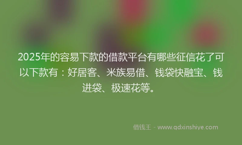 2025年的容易下款的借款平台有哪些征信花了可以下款有：好居客、米族易借、钱袋快融宝、钱进袋、极速花等。