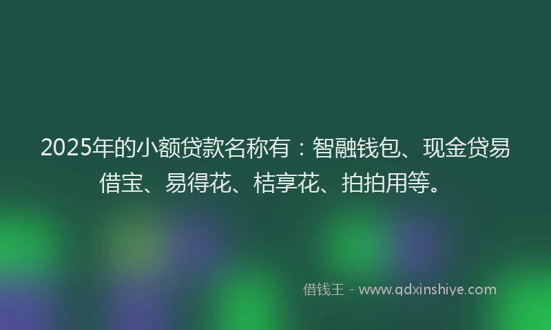 2025年的小额贷款名称有：智融钱包、现金贷易借宝、易得花、桔享花、拍拍用等。