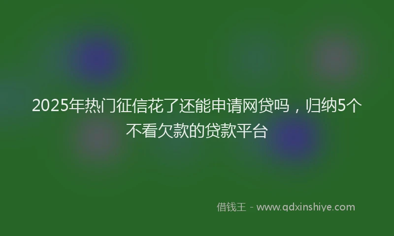 2025年热门征信花了还能申请网贷吗，归纳5个不看欠款的贷款平台