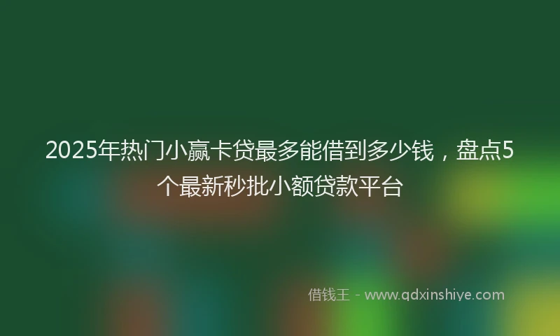 2025年热门小赢卡贷最多能借到多少钱，盘点5个最新秒批小额贷款平台