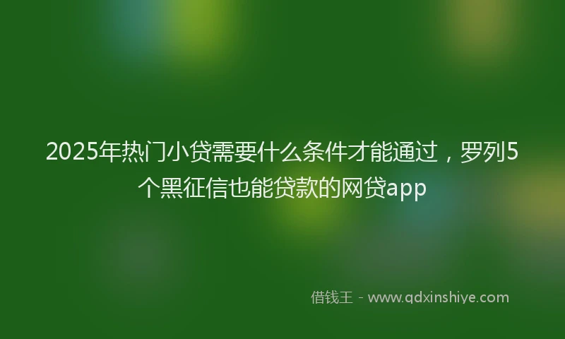 2025年热门小贷需要什么条件才能通过，罗列5个黑征信也能贷款的网贷app