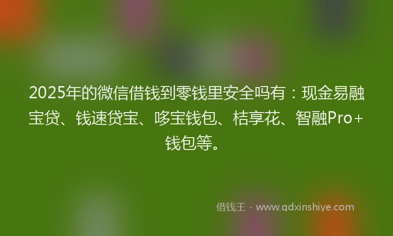 2025年的微信借钱到零钱里安全吗有：现金易融宝贷、钱速贷宝、哆宝钱包、桔享花、智融Pro+钱包等。