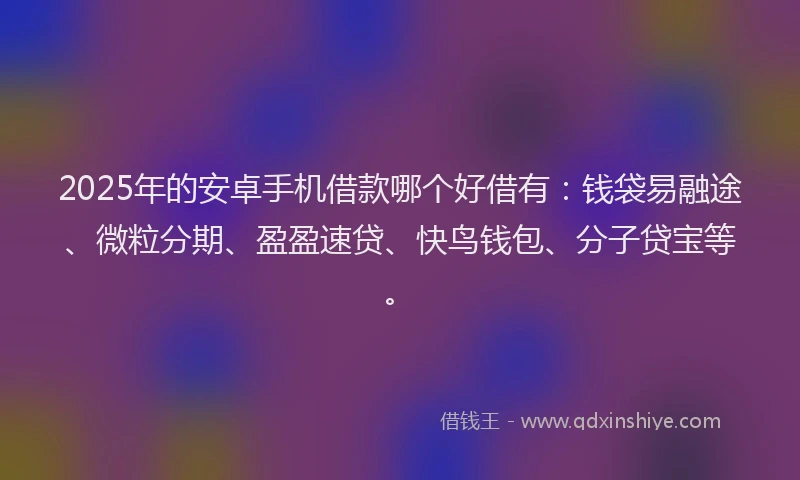 2025年的安卓手机借款哪个好借有：钱袋易融途、微粒分期、盈盈速贷、快鸟钱包、分子贷宝等。