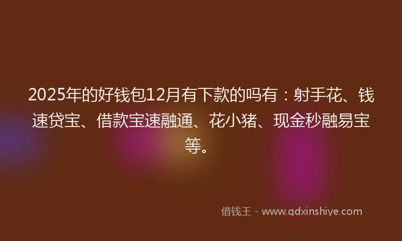 2025年的好钱包12月有下款的吗有：射手花、钱速贷宝、借款宝速融通、花小猪、现金秒融易宝等。