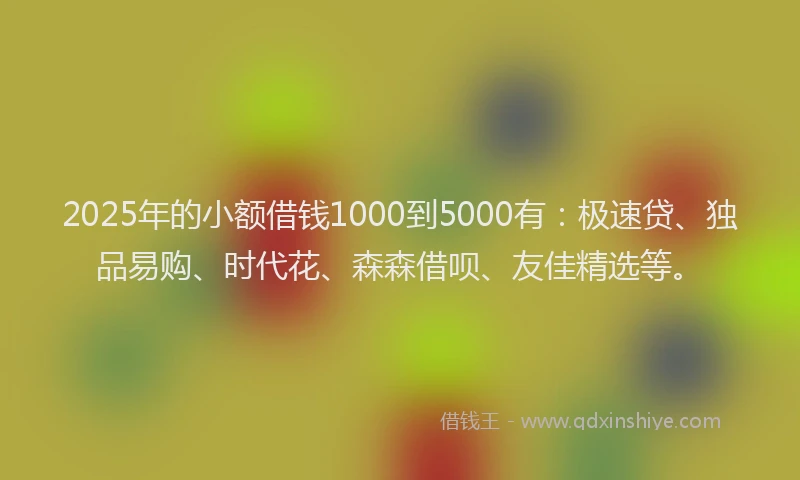 2025年的小额借钱1000到5000有：极速贷、独品易购、时代花、森森借呗、友佳精选等。