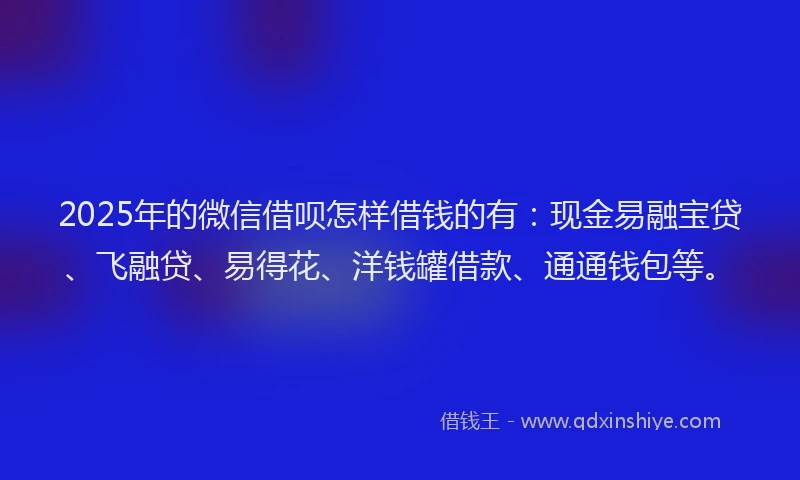 2025年的微信借呗怎样借钱的有：现金易融宝贷、飞融贷、易得花、洋钱罐借款、通通钱包等。
