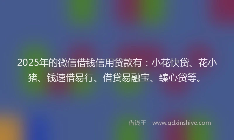 2025年的微信借钱信用贷款有：小花快贷、花小猪、钱速借易行、借贷易融宝、臻心贷等。