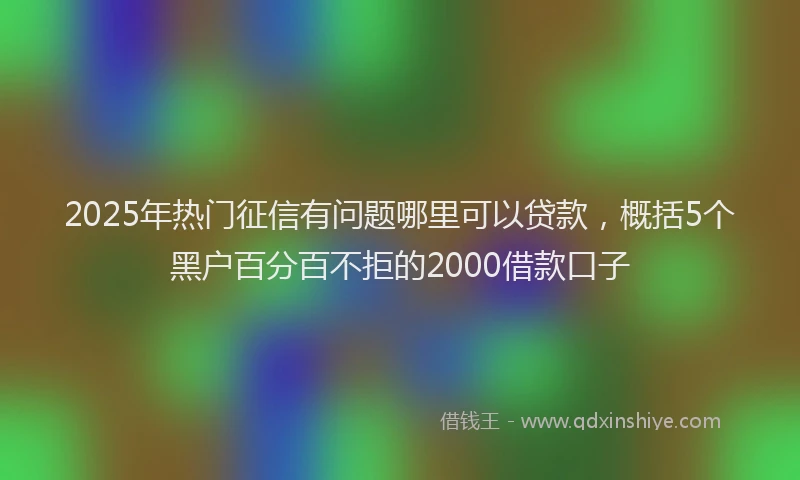 2025年热门征信有问题哪里可以贷款，概括5个黑户百分百不拒的2000借款口子