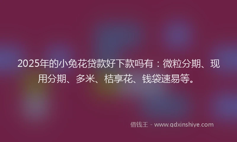 2025年的小兔花贷款好下款吗有：微粒分期、现用分期、多米、桔享花、钱袋速易等。