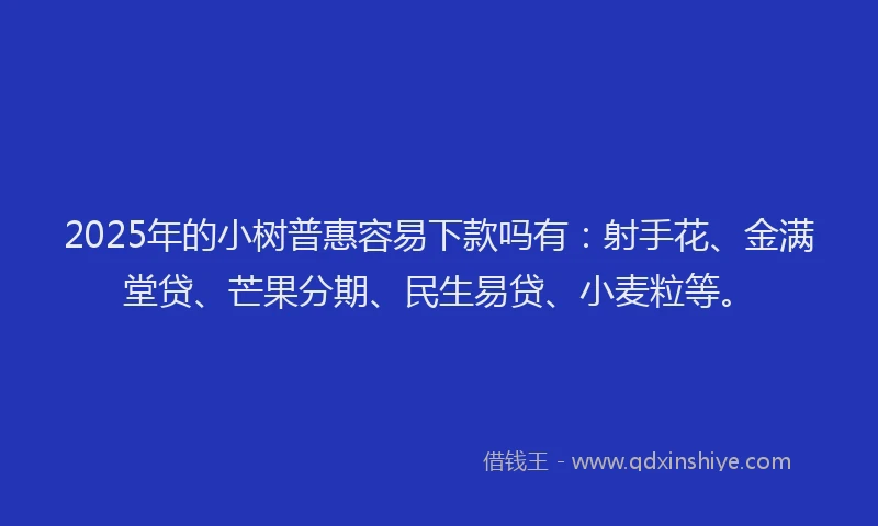 2025年的小树普惠容易下款吗有：射手花、金满堂贷、芒果分期、民生易贷、小麦粒等。