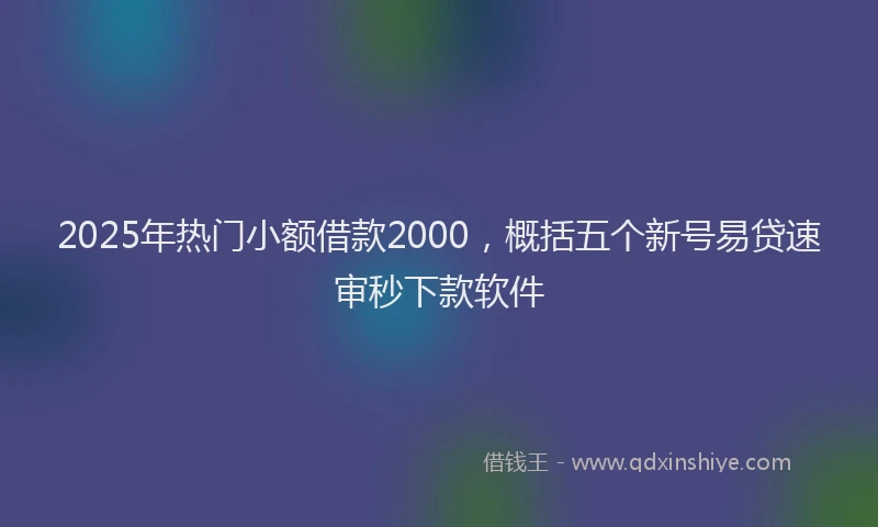 2025年热门小额借款2000，概括五个新号易贷速审秒下款软件