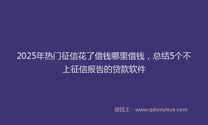 2025年热门征信花了借钱哪里借钱，总结5个不上征信报告的贷款软件