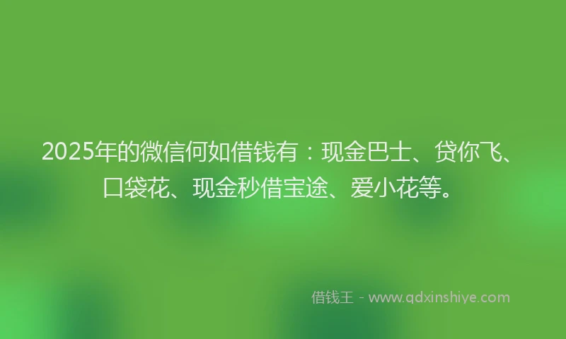 2025年的微信何如借钱有：现金巴士、贷你飞、口袋花、现金秒借宝途、爱小花等。