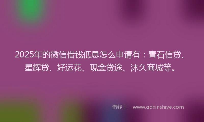 2025年的微信借钱低息怎么申请有：青石信贷、星辉贷、好运花、现金贷途、沐久商城等。