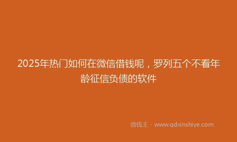 2025年热门如何在微信借钱呢，罗列五个不看年龄征信负债的软件