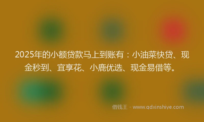 2025年的小额贷款马上到账有：小油菜快贷、现金秒到、宜享花、小鹿优选、现金易借等。