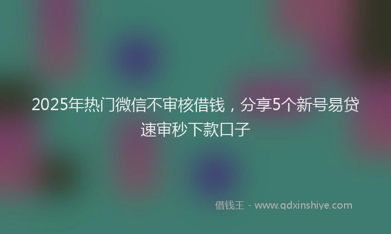 2025年热门微信不审核借钱，分享5个新号易贷速审秒下款口子