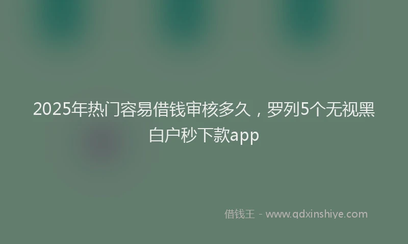 2025年热门容易借钱审核多久，罗列5个无视黑白户秒下款app