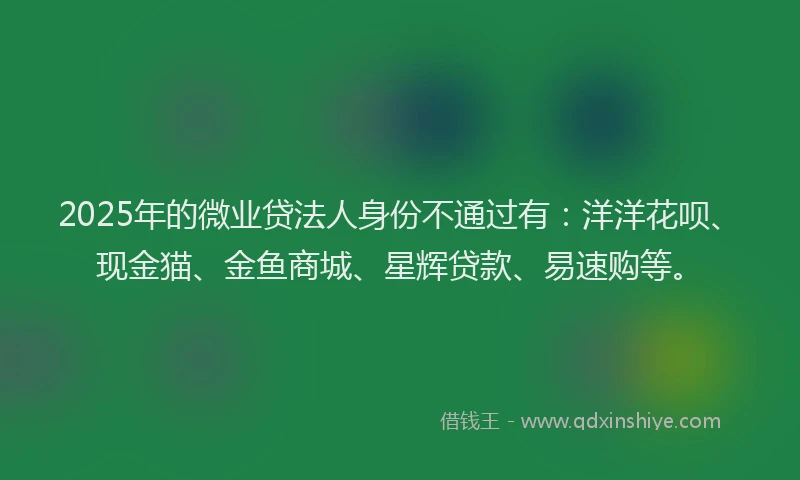 2025年的微业贷法人身份不通过有：洋洋花呗、现金猫、金鱼商城、星辉贷款、易速购等。