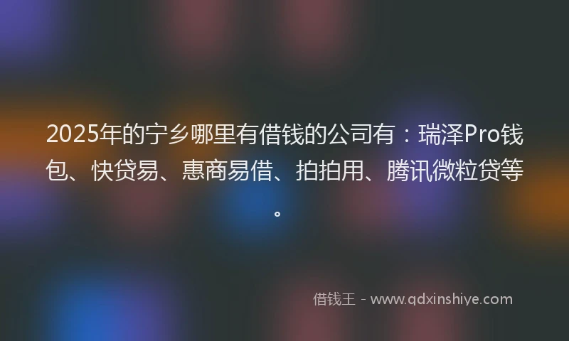 2025年的宁乡哪里有借钱的公司有：瑞泽Pro钱包、快贷易、惠商易借、拍拍用、腾讯微粒贷等。