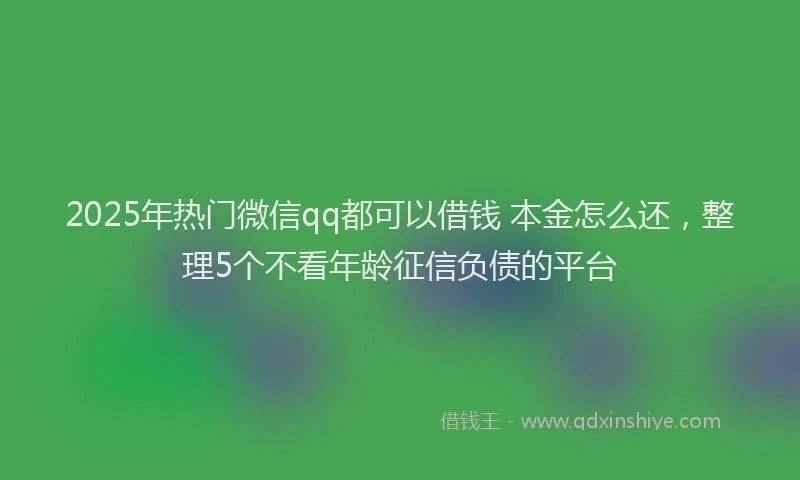 2025年热门微信qq都可以借钱 本金怎么还，整理5个不看年龄征信负债的平台