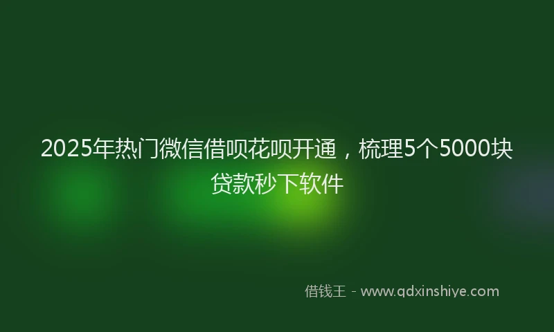 2025年热门微信借呗花呗开通，梳理5个5000块贷款秒下软件