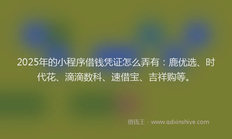 2025年的小程序借钱凭证怎么弄有：鹿优选、时代花、滴滴数科、速借宝、吉祥购等。