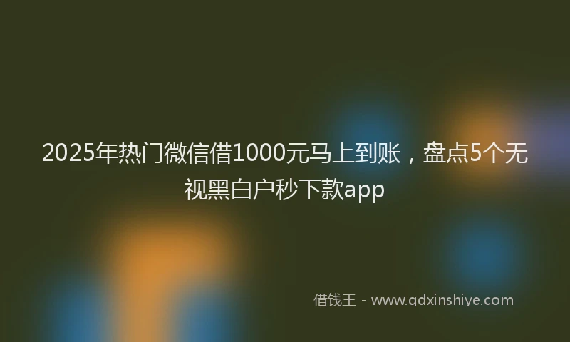2025年热门微信借1000元马上到账，盘点5个无视黑白户秒下款app