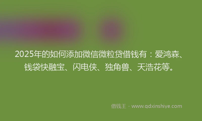 2025年的如何添加微信微粒贷借钱有：爱鸿森、钱袋快融宝、闪电侠、独角兽、天浩花等。