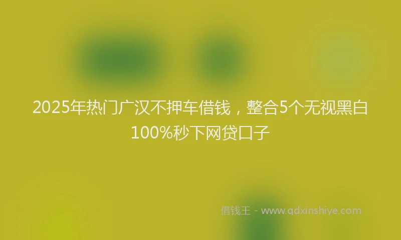 2025年热门广汉不押车借钱，整合5个无视黑白100%秒下网贷口子