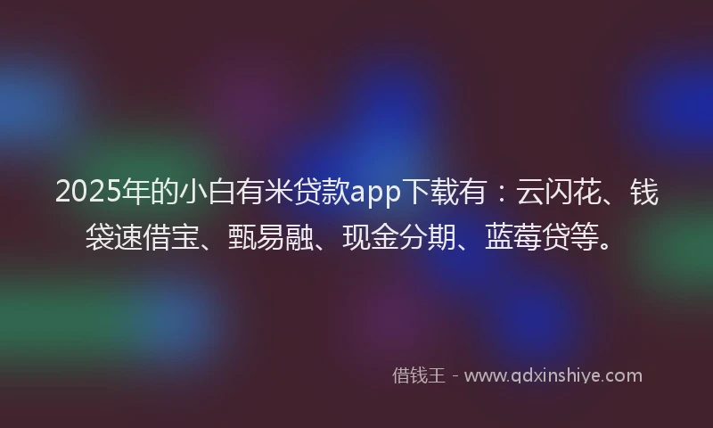 2025年的小白有米贷款app下载有：云闪花、钱袋速借宝、甄易融、现金分期、蓝莓贷等。