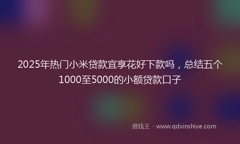 2025年热门小米贷款宜享花好下款吗，总结五个1000至5000的小额贷款口子