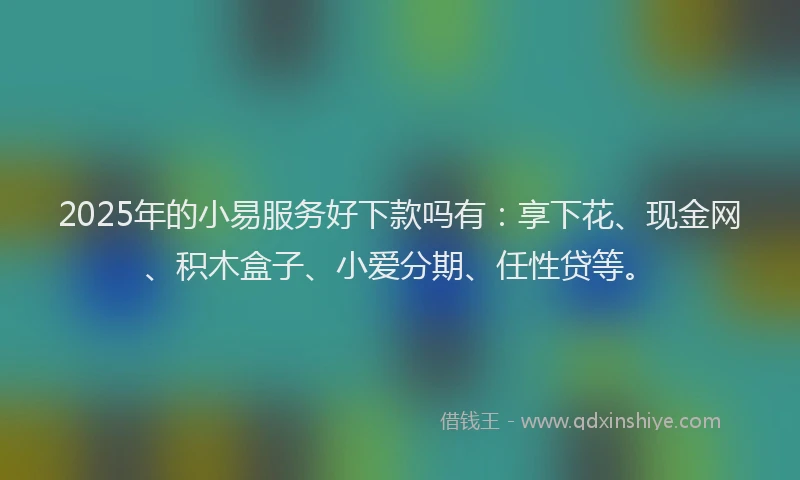 2025年的小易服务好下款吗有：享下花、现金网、积木盒子、小爱分期、任性贷等。