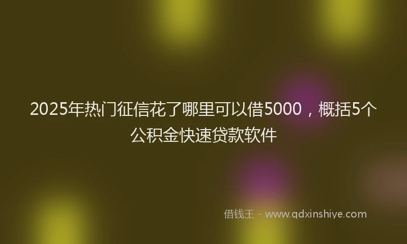 2025年热门征信花了哪里可以借5000，概括5个公积金快速贷款软件