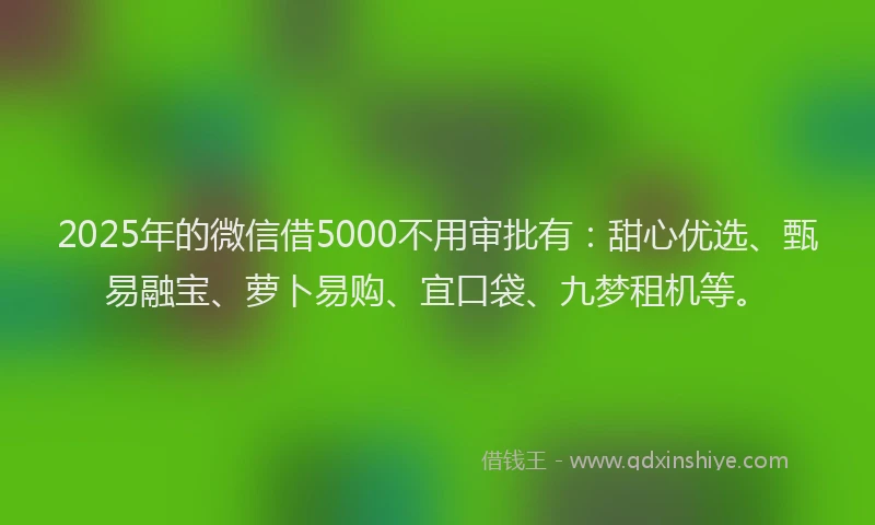 2025年的微信借5000不用审批有：甜心优选、甄易融宝、萝卜易购、宜口袋、九梦租机等。