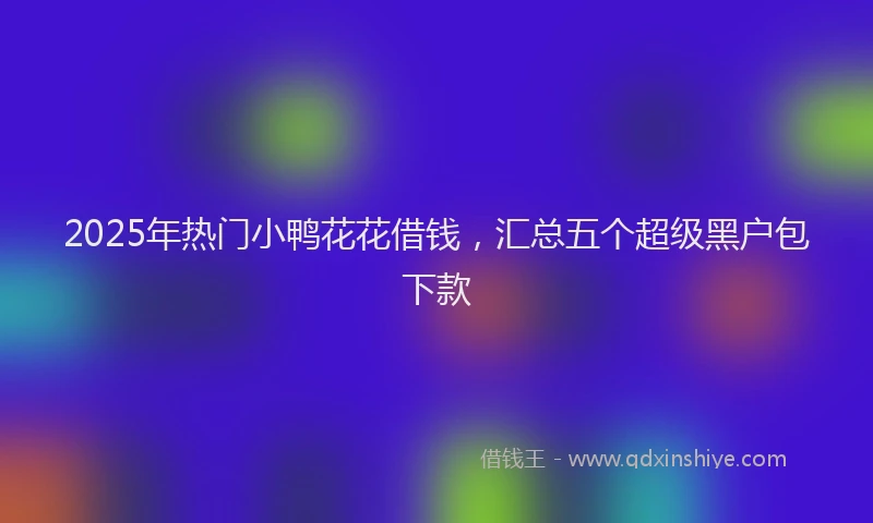 2025年热门小鸭花花借钱，汇总五个超级黑户包下款