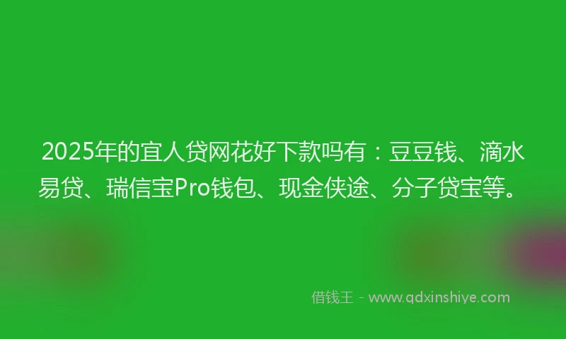2025年的宜人贷网花好下款吗有：豆豆钱、滴水易贷、瑞信宝Pro钱包、现金侠途、分子贷宝等。