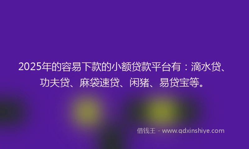 2025年的容易下款的小额贷款平台有：滴水贷、功夫贷、麻袋速贷、闲猪、易贷宝等。