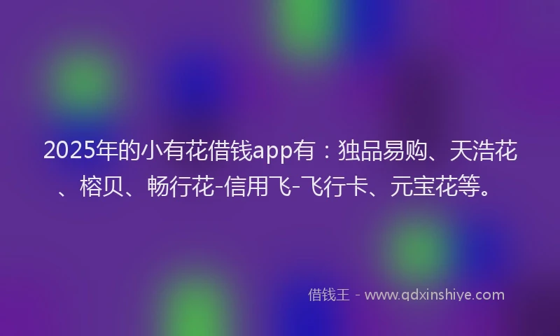 2025年的小有花借钱app有：独品易购、天浩花、榕贝、畅行花-信用飞-飞行卡、元宝花等。