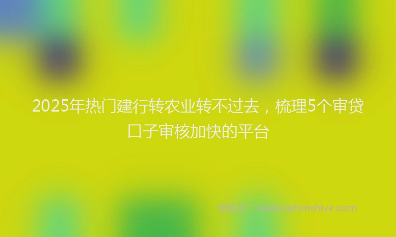 2025年热门建行转农业转不过去，梳理5个审贷口子审核加快的平台