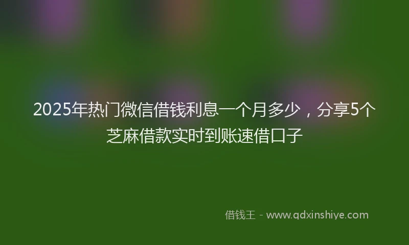 2025年热门微信借钱利息一个月多少，分享5个芝麻借款实时到账速借口子