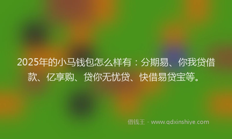 2025年的小马钱包怎么样有：分期易、你我贷借款、亿享购、贷你无忧贷、快借易贷宝等。