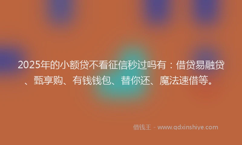2025年的小额贷不看征信秒过吗有：借贷易融贷、甄享购、有钱钱包、替你还、魔法速借等。