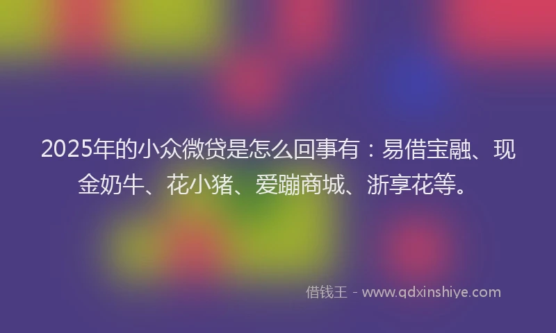 2025年的小众微贷是怎么回事有：易借宝融、现金奶牛、花小猪、爱蹦商城、浙享花等。