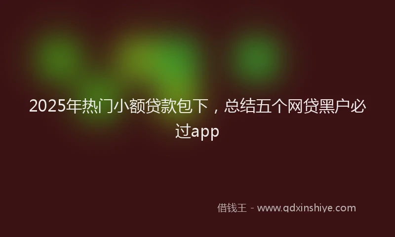 2025年热门小额贷款包下，总结五个网贷黑户必过app